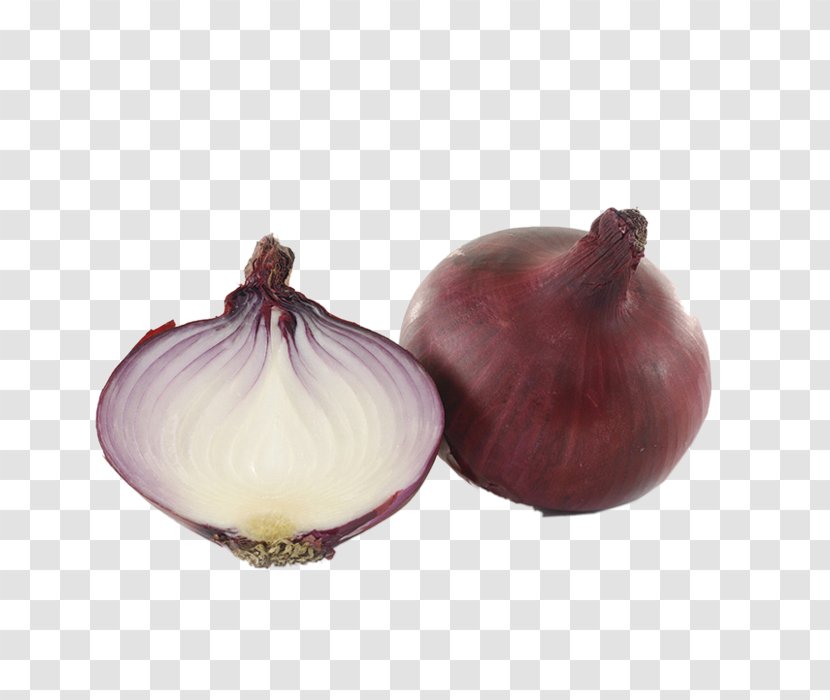 Onion Vegetable Quercetin Eating Health - Cut Transparent PNG