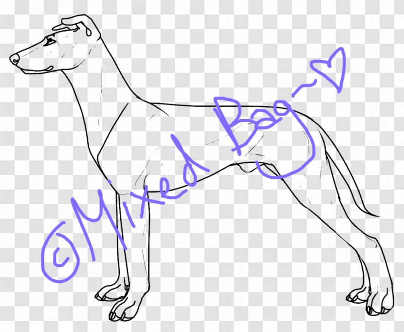 Dog Breed Line Art DeviantArt Transparent PNG