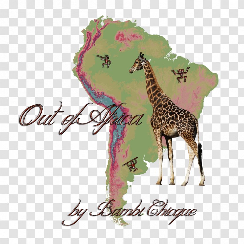 Latin America South Mapa Polityczna City Map - Giraffidae Transparent PNG