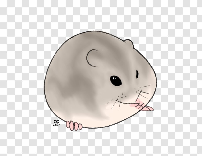 Whiskers Cat Rat Computer Mouse Snout Transparent PNG