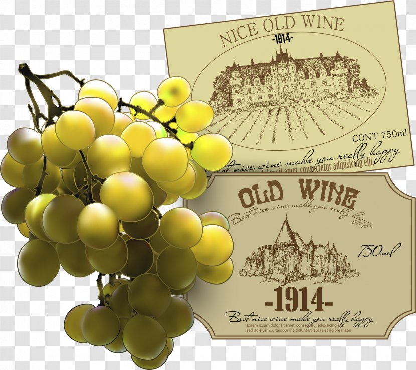 Common Grape Vine Wine Leaves - Vector Grapes Transparent PNG