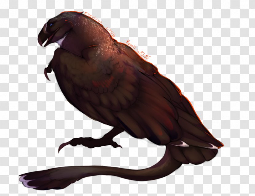 Daenerys Targaryen Drogon Jon Snow Cersei Lannister Beak - Wing - Handsome Cat Transparent PNG