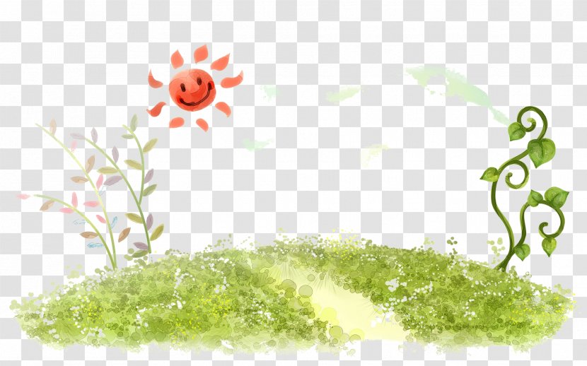 High-definition Television Onam 1080p 4K Resolution Wallpaper - Plant - Cartoon Sun Transparent PNG