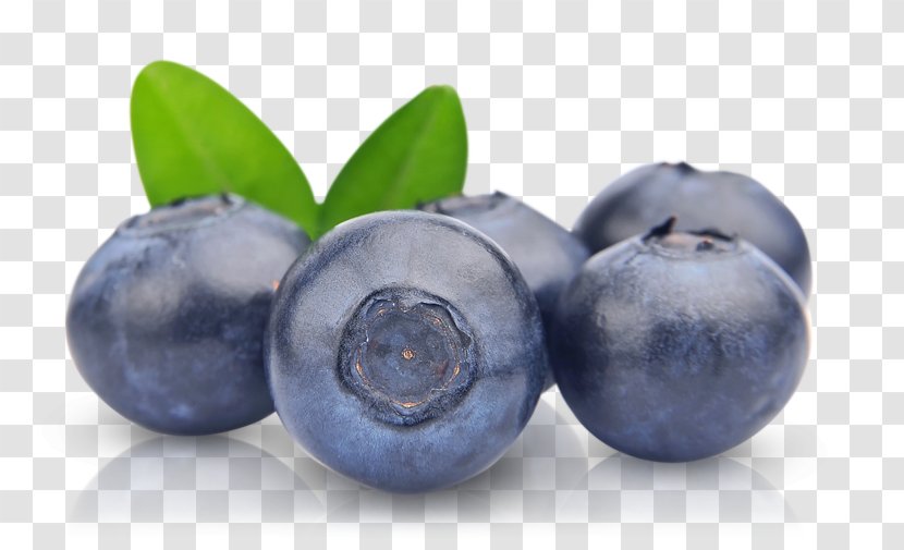 European Blueberry Fruit - Berries Transparent PNG
