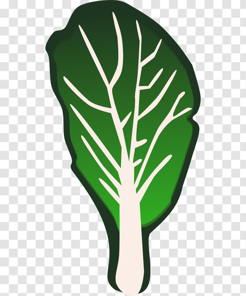 Daikon Vegetable Eggplant Carrot Clip Art - Food - Vegetables Images Transparent PNG