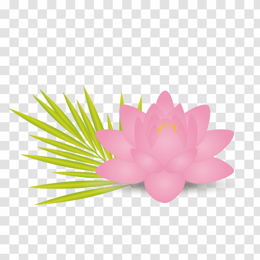 Nelumbo Nucifera Lotus Effect Flower Leaf Euclidean Vector - Pink Transparent PNG