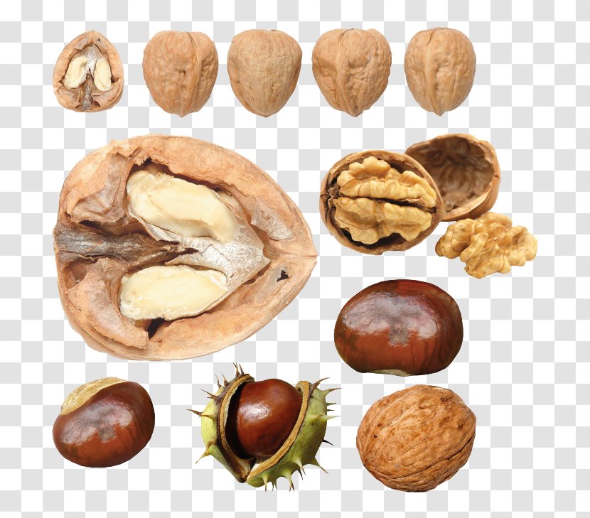 Walnut Food - Nutcracker - Photos Transparent PNG