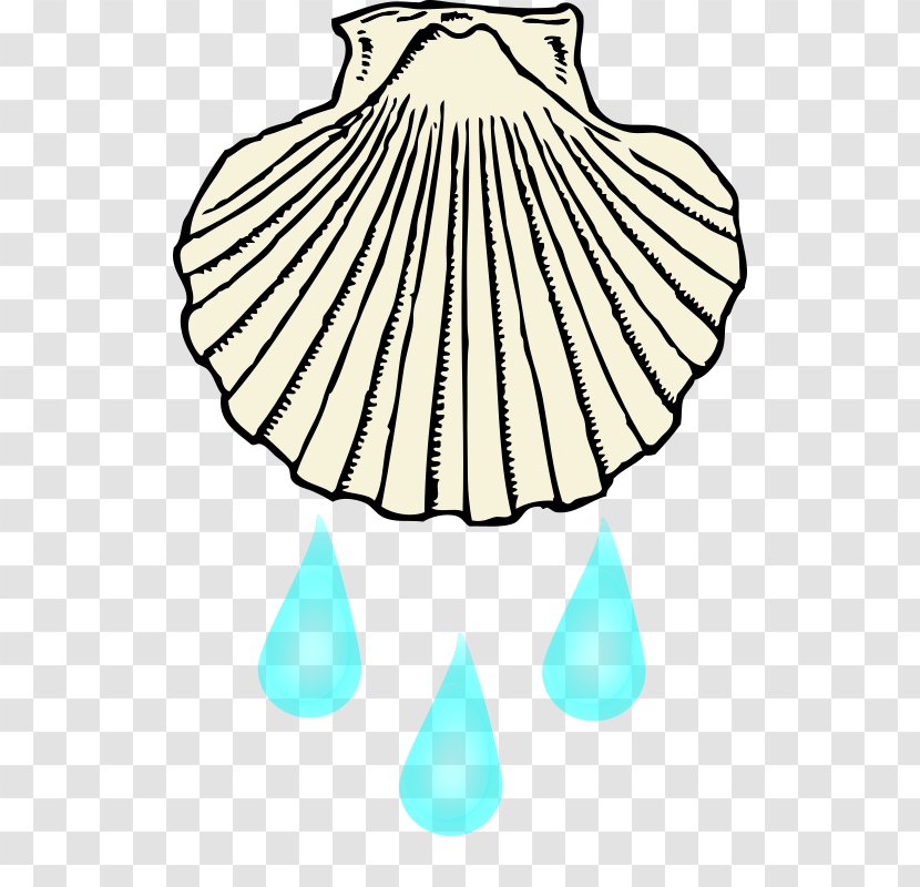 Clam Seashell Black And White Clip Art - Baptism Transparent PNG