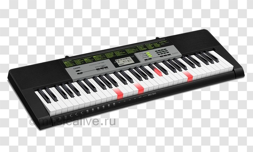 Casio CTK-4200 Electronic Keyboard CTK-3500 - Flower Transparent PNG