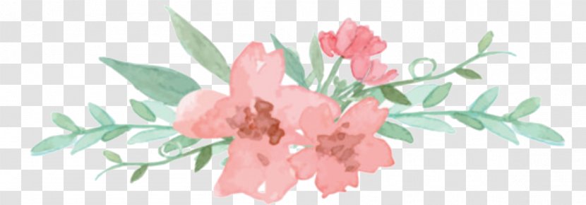 Flower Floral Design Transparent PNG