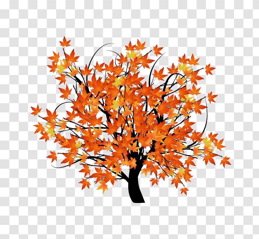 Autumn Leaf Color Tree Illustration - Vector Maple Transparent PNG