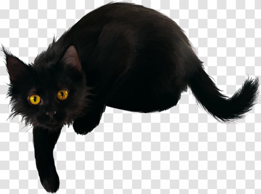 Black Cat Bombay Domestic Short-haired Kitten - Whiskers Transparent PNG