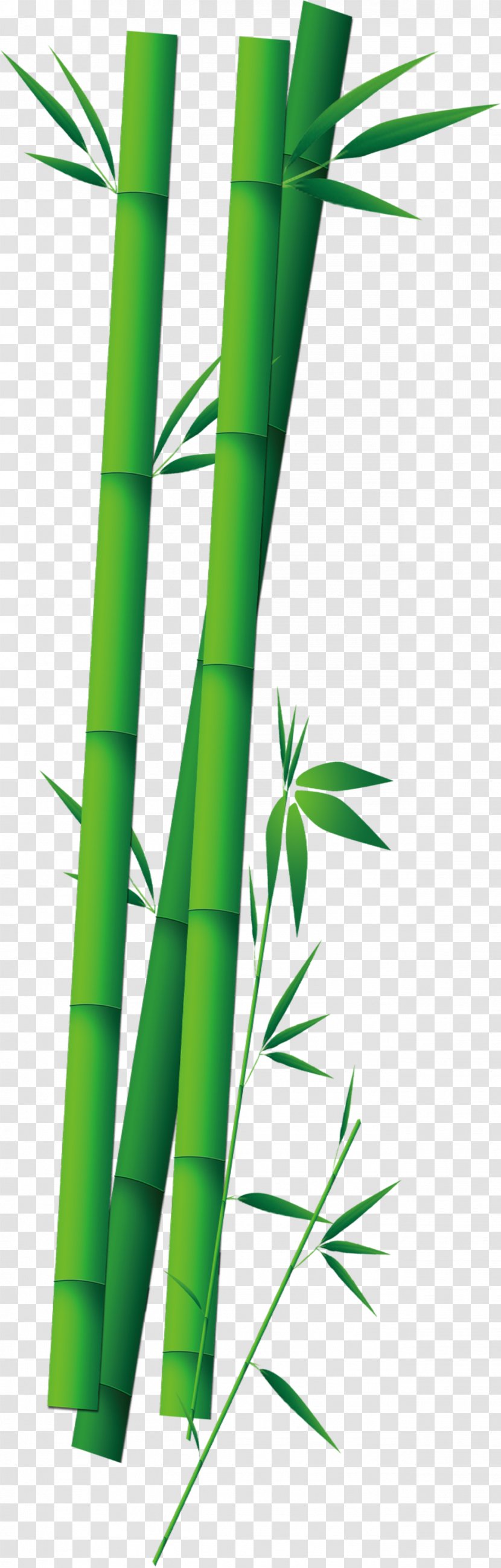 Zongzi Bamboo - Grass Transparent PNG