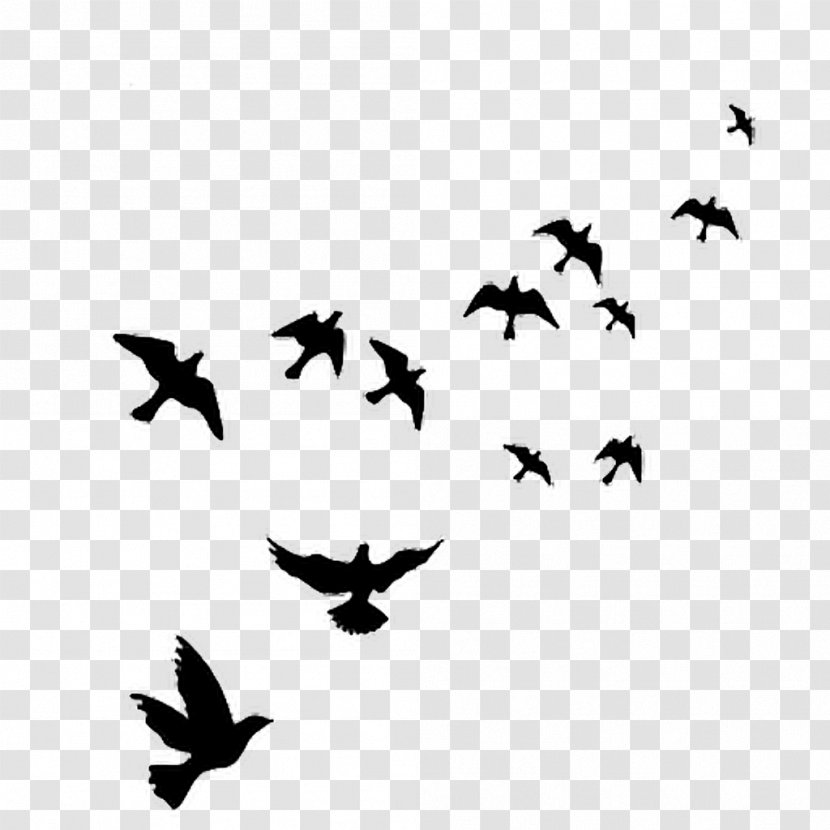 Bird Wall Decal Polyvinyl Chloride - Flying Transparent PNG