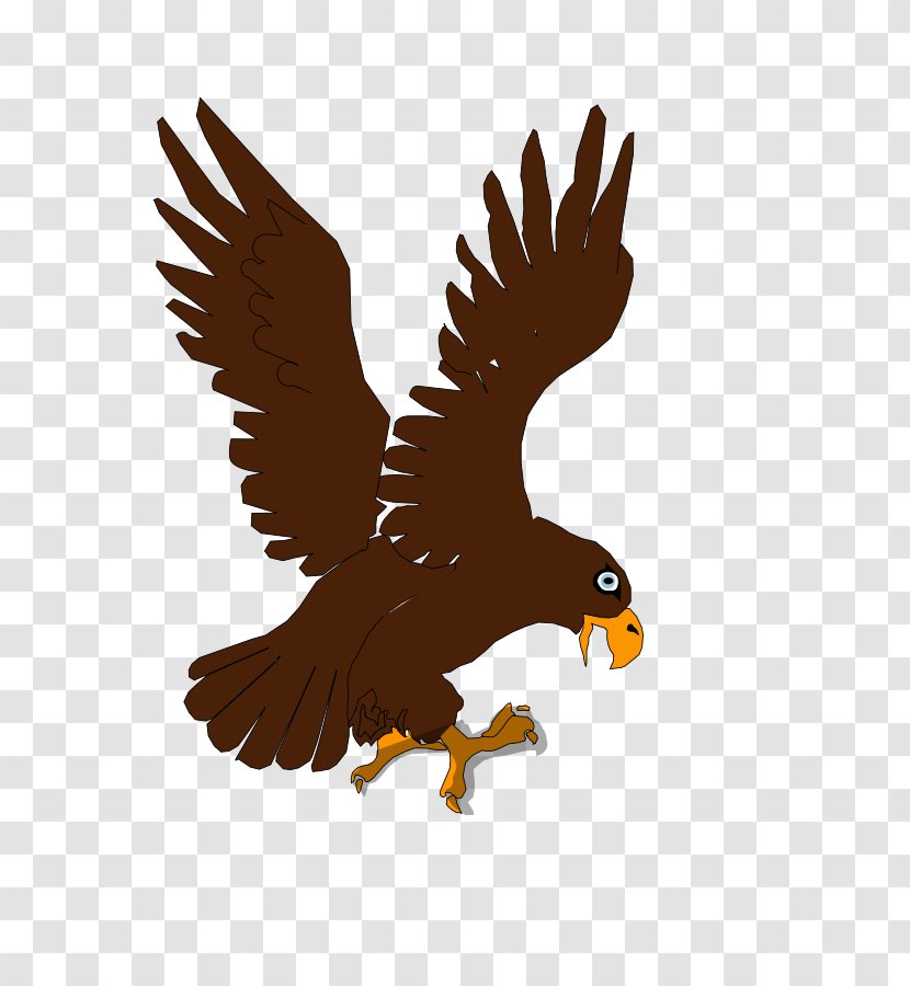 Bald Eagle Clip Art Bird Of Prey Transparent PNG