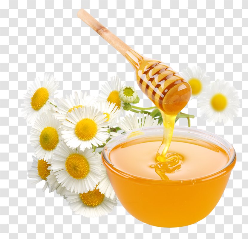 Honey Bee Food Toast Sugar - Cartoon Transparent PNG