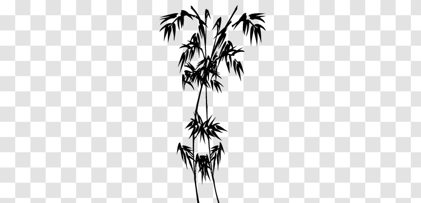 Asian Palmyra Palm Arecaceae Line Silhouette - Arecales Transparent PNG