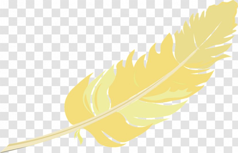 Yellow Feather - Feathers Transparent PNG