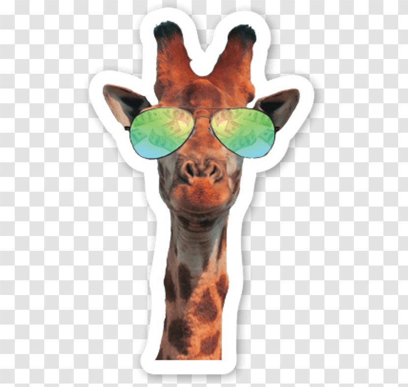 Northern Giraffe Cat Neck Glasses Sound Transparent PNG
