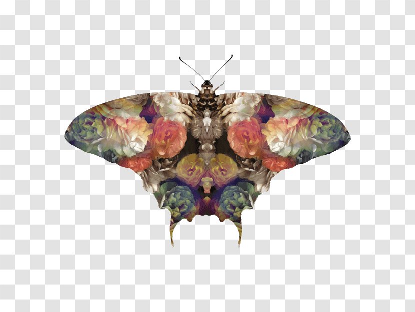 Moth - Fig Printing Transparent PNG