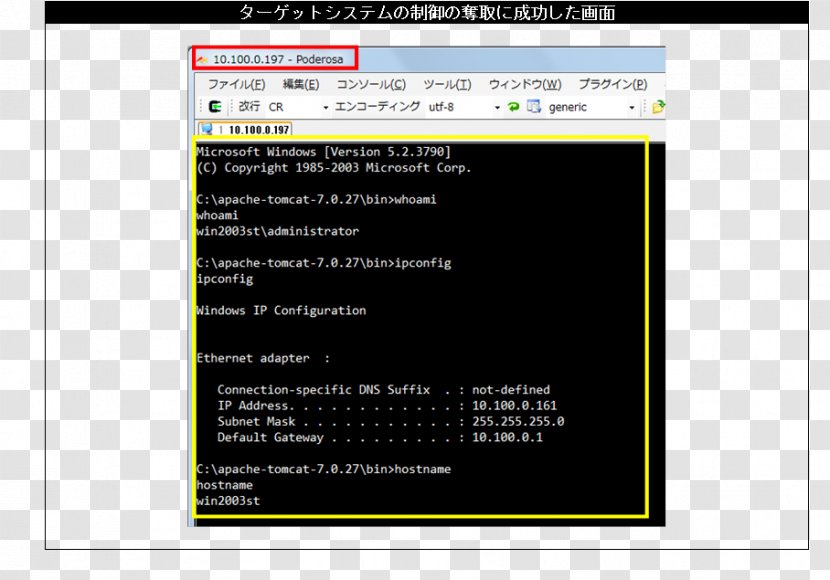 Computer Program Test-driven Development Software Testing Go - Web Page Transparent PNG