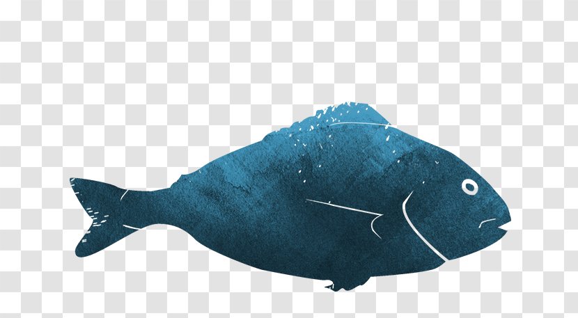 Dolphin Marine Biology Fauna Turquoise - Electric Blue - Recipe (website Category) Transparent PNG