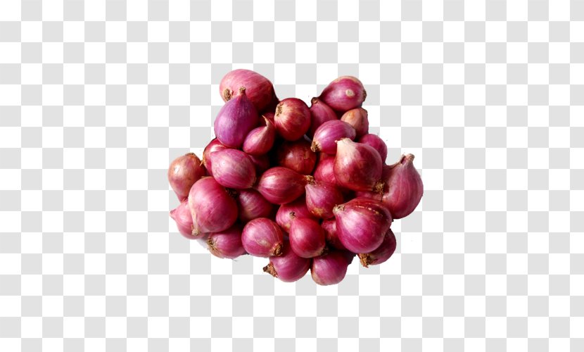Sambar Shallot White Onion Organic Food Potato - Pink Peppercorn Transparent PNG