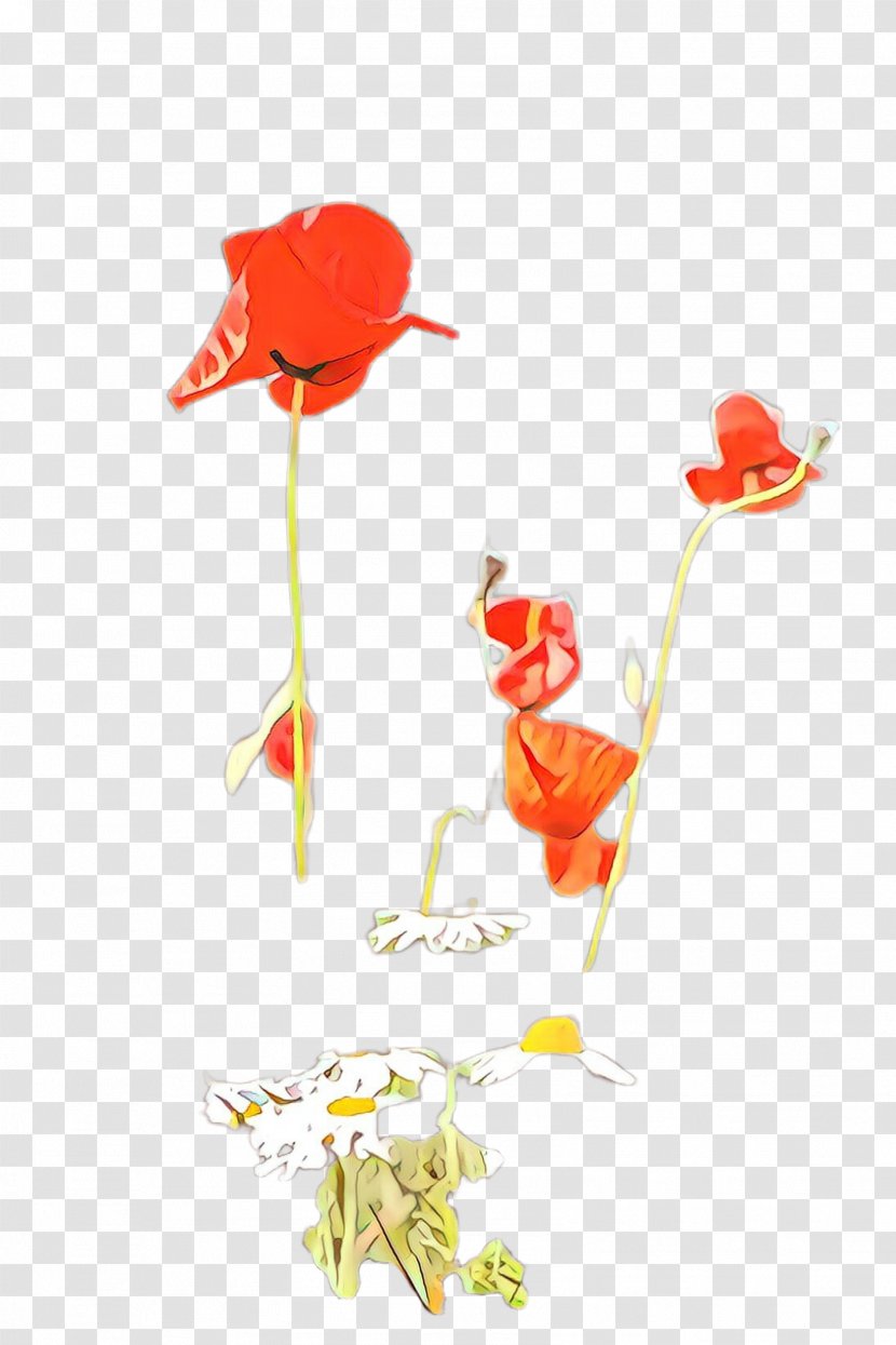 Red Flower Coquelicot Plant Pedicel - Poppy Family - Anthurium Wildflower Transparent PNG