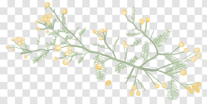 Floral Design Knus Karoo Kombuis Art Sleep - Pedicel - Pastry Flour Pancakes Transparent PNG