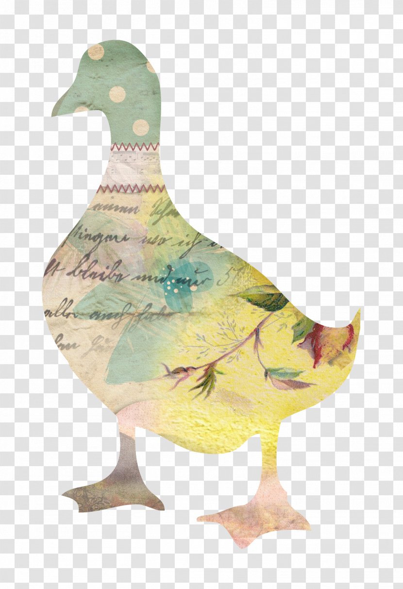 Duck Paper Chicken Goose - Water Bird - Tag Transparent PNG
