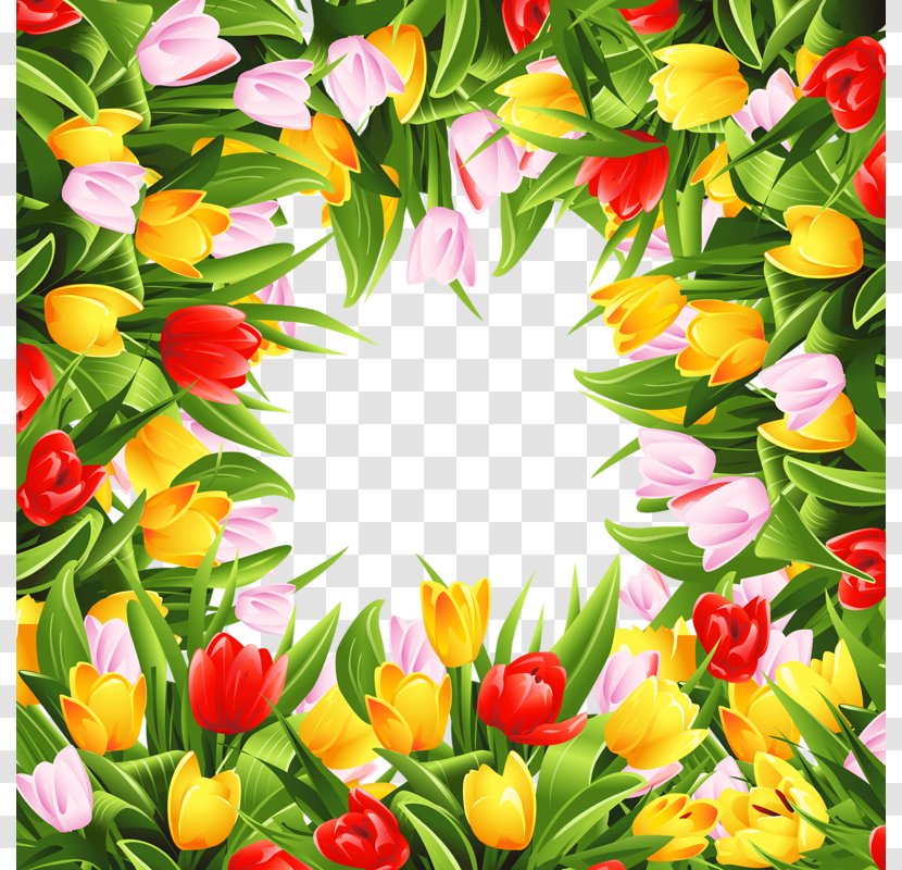 Border Flowers Tulip Stock Photography - Floral Design Transparent PNG
