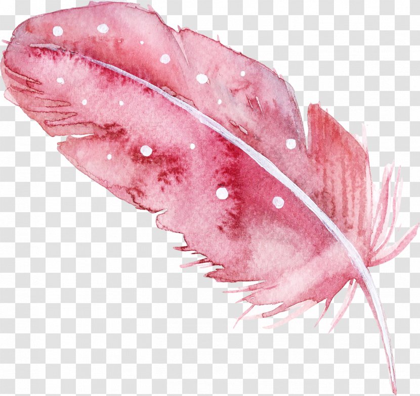 Feather - Lip - Wreath Transparent PNG