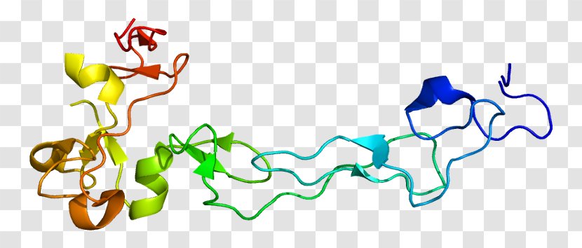 ADAM10 Alpha Secretase Protein Disintegrin - Frame - Watercolor Transparent PNG