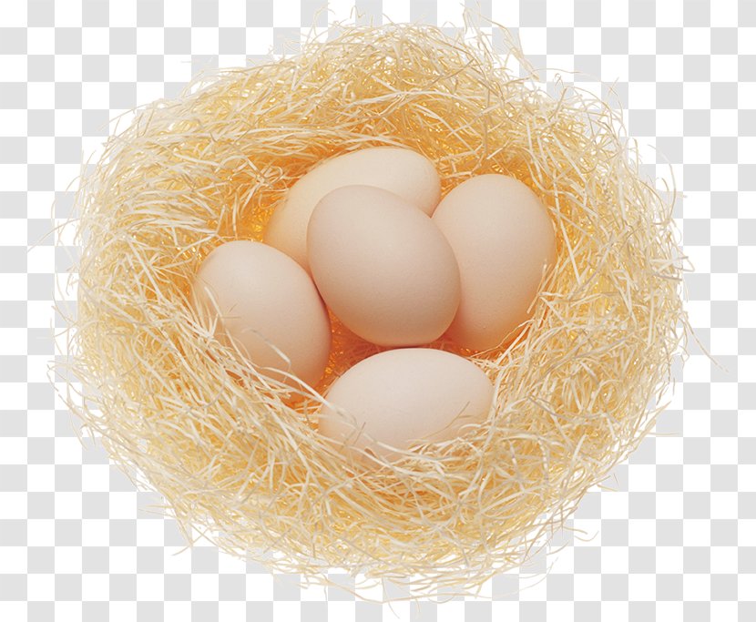 Chicken Egg Food Incubator Transparent PNG