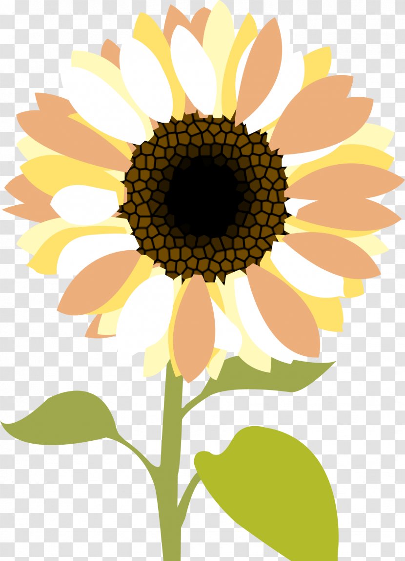 Common Sunflower Desktop Wallpaper Clip Art - Seed Transparent PNG