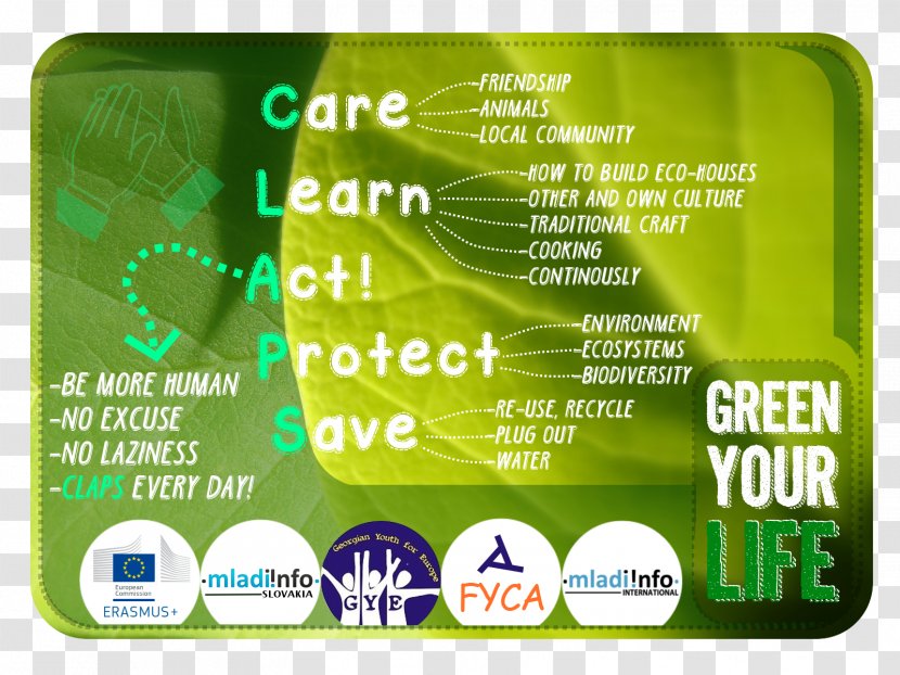 Mladiinfo Zaježová Volunteering European Voluntary Service Labor - Green - Card Transparent PNG