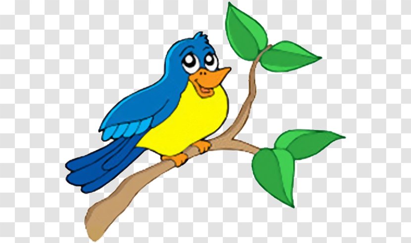 Bird Drawing Clip Art - Photography Transparent PNG