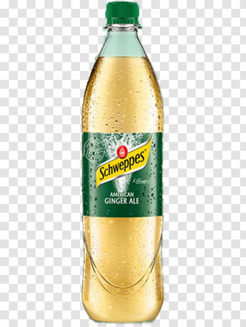 Ginger Ale Bitter Lemon Beer Tonic Water Fizzy Drinks - Lemonade Transparent PNG