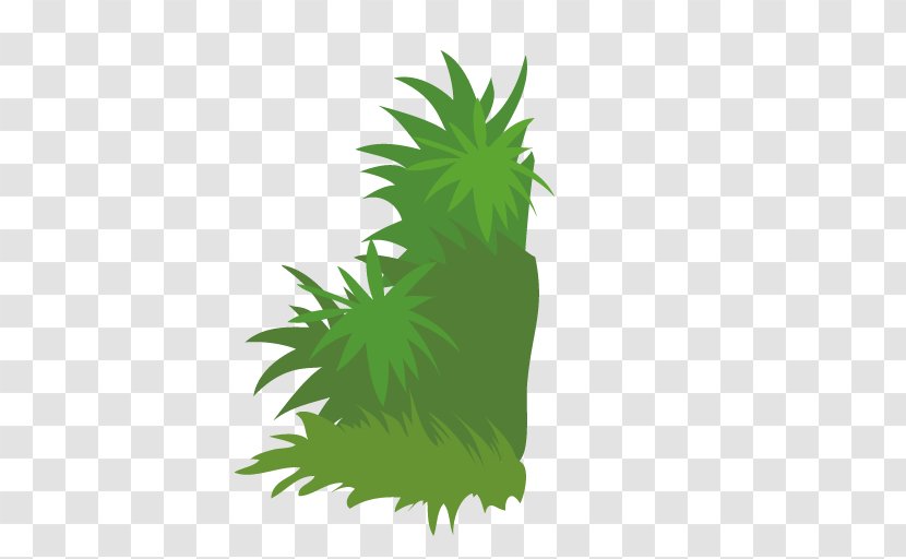 Cartoon Grass - Plant - Leaf Transparent PNG