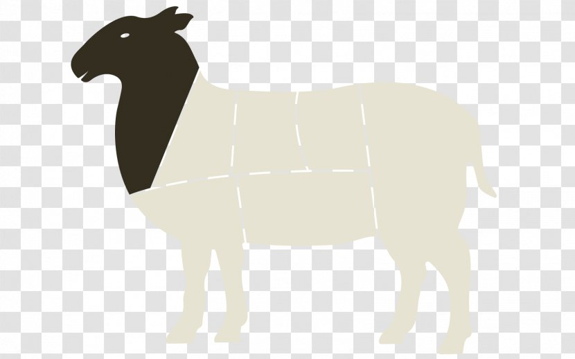 Llama Cartoon - Cattle - Livestock Transparent PNG