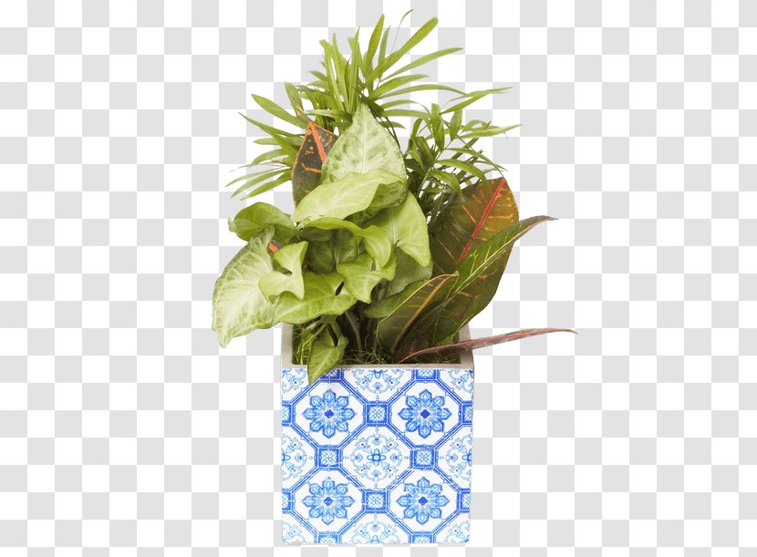 Flowerpot Leaf Floral Design Houseplant - Grass Transparent PNG