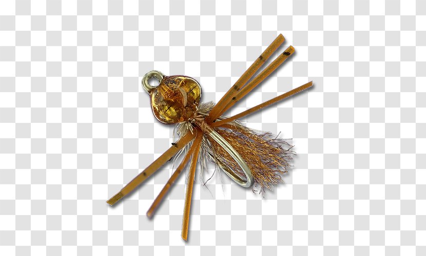 Insect Bitters Brown Metal Fly Transparent PNG