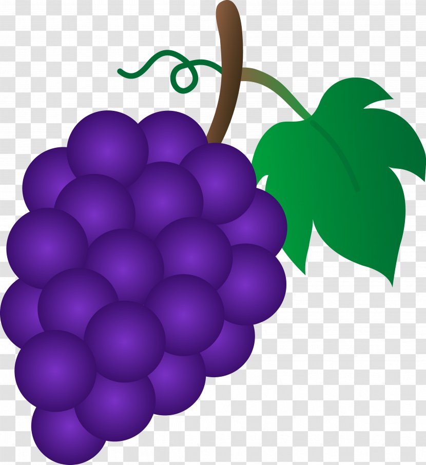 Common Grape Vine Sultana Clip Art - Cartoon Grapes Cliparts Transparent PNG