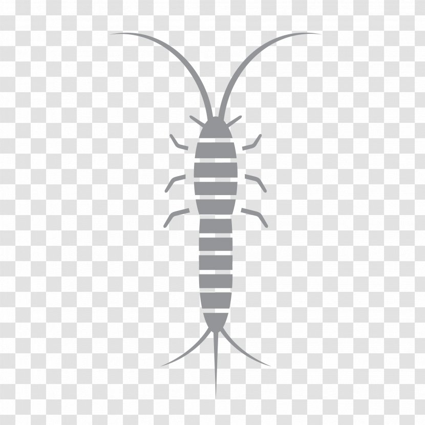 Insect Line Pest Font - Wing Transparent PNG