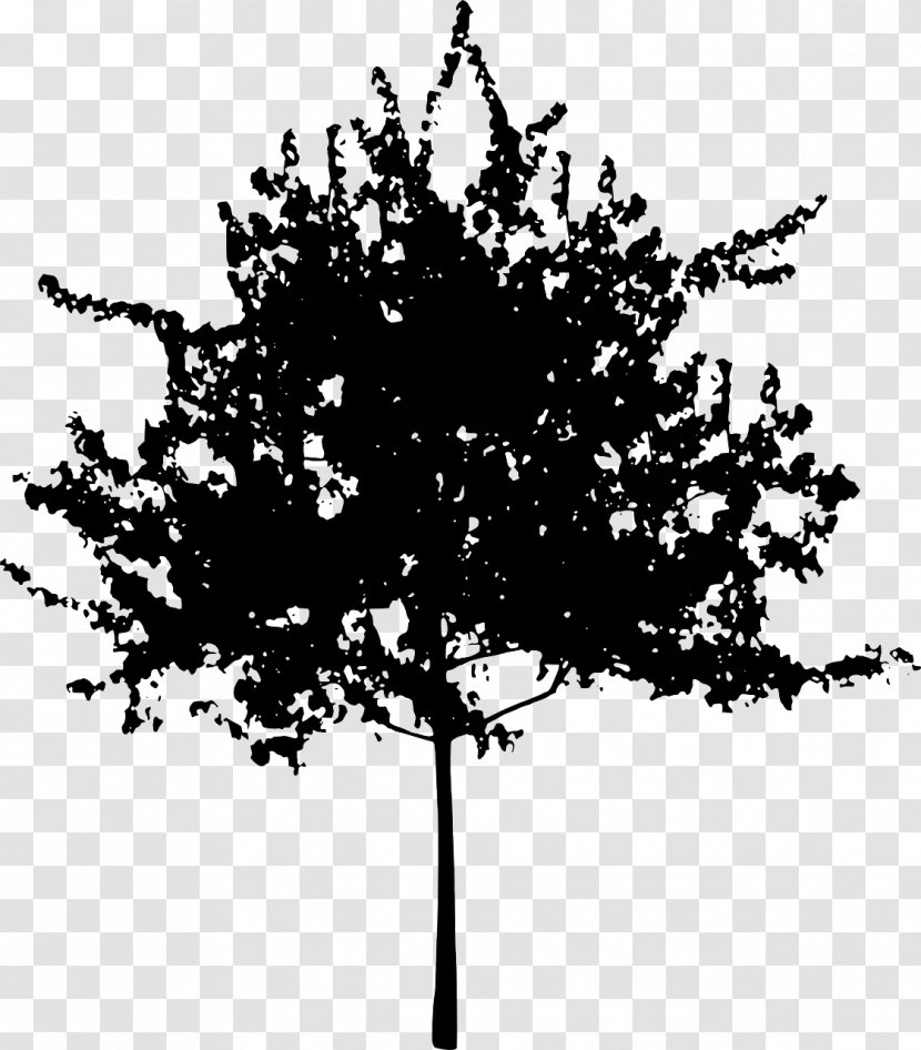 Tree Branch Trunk Clip Art - Monochrome - Vector Maple Leaves Transparent PNG