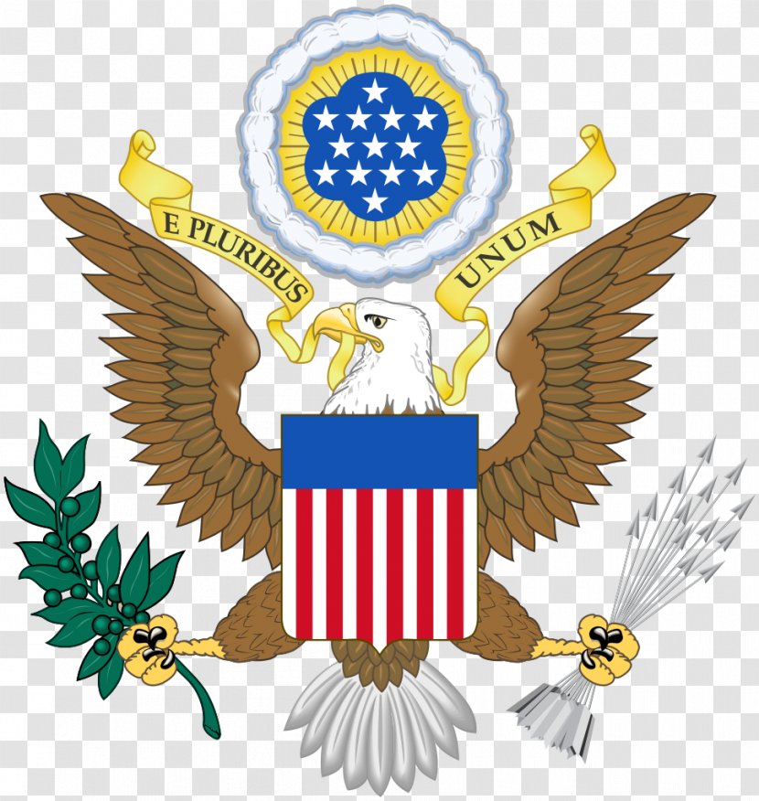Great Seal Of The United States Coat Arms Federal Government Flag - Bird Transparent PNG