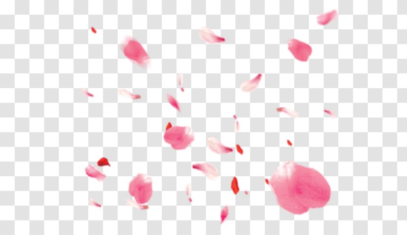 Pink Flower Cartoon - Valentines Day Magenta Transparent PNG