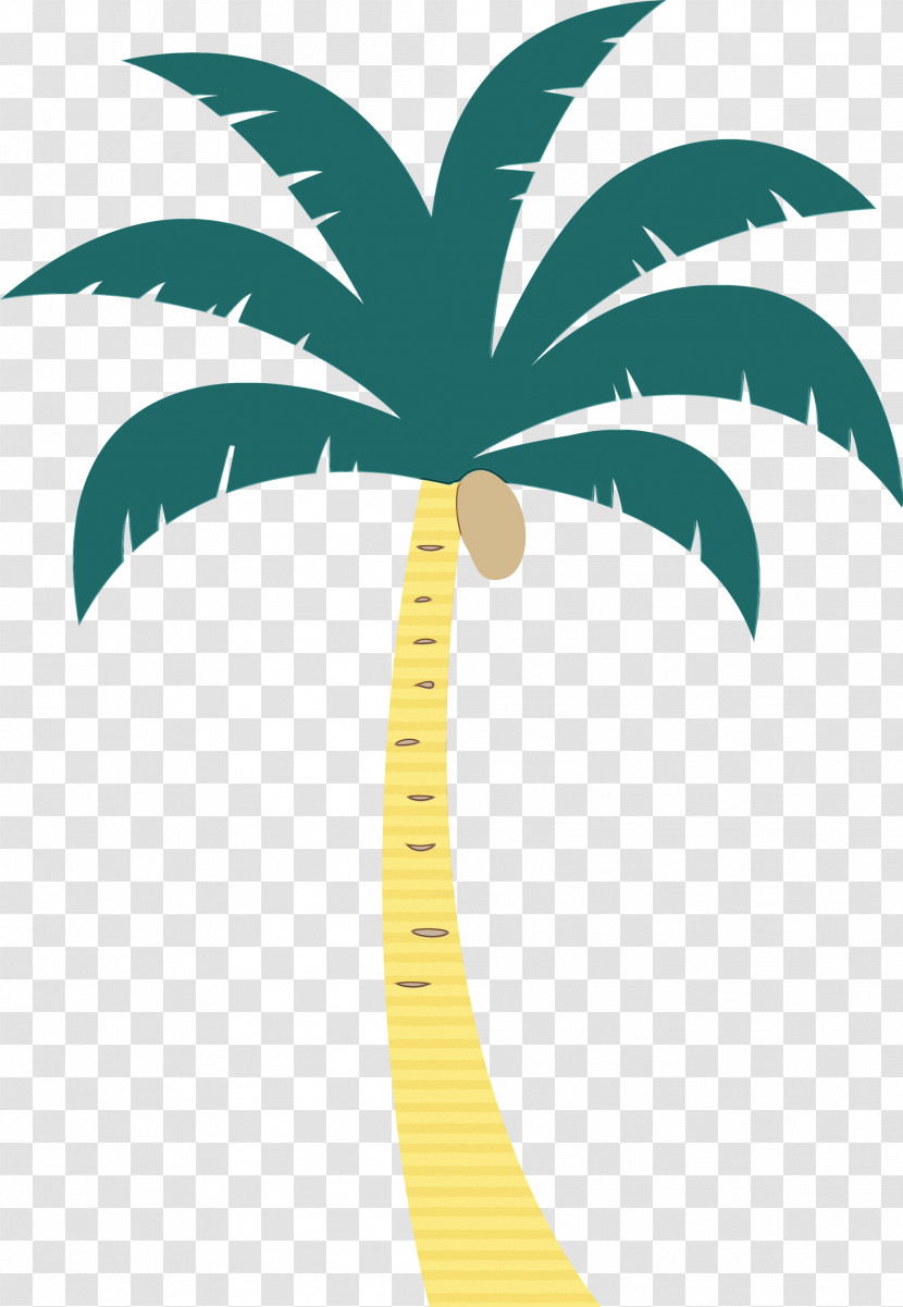 Palm Trees Transparent PNG