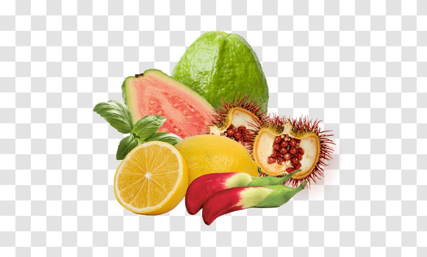 Natural Foods Orgenetics, Inc. Vitamin Kiwifruit - Fruit - Biotin Illustration Transparent PNG