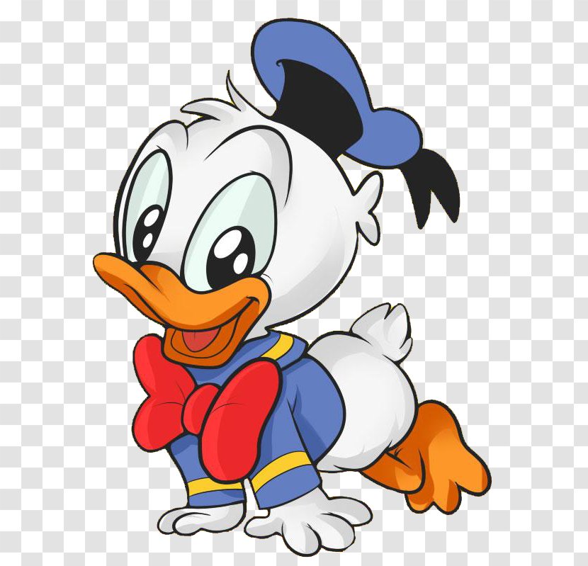 Donald Duck Daisy Mickey Mouse Drawing - Ducks Geese And Swans Transparent PNG